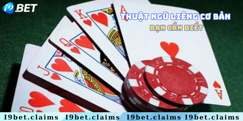 Những thuật ngữ cơ bản
